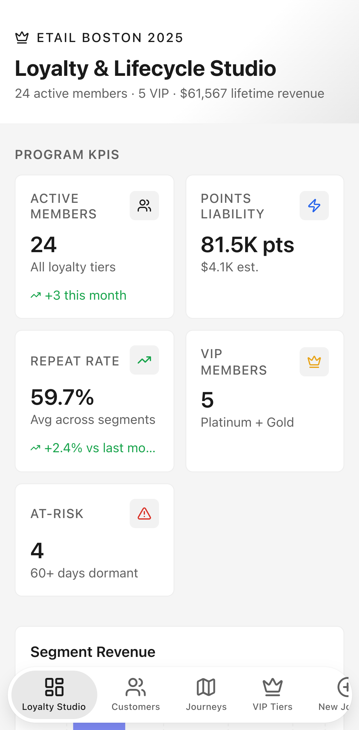 Loyalty & Lifecycle Studio — mobile screenshot